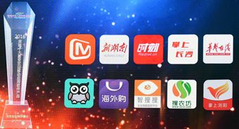 大瀚榮獲2016年度湖南十大最受歡迎移動應用軟件產品