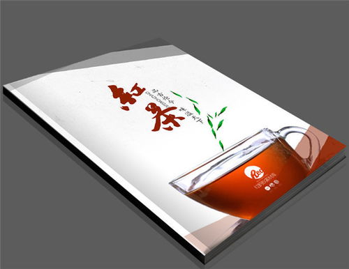 創意宣傳冊設計與動漫元素融合 以江夏宣傳冊制作為例